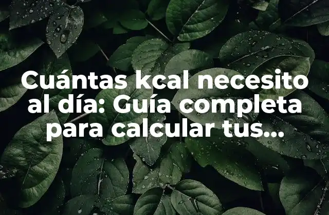 Cuántas Kcal Necesito Al Día: Guía Completa para Calcular Tus Necesidades Caloríficas