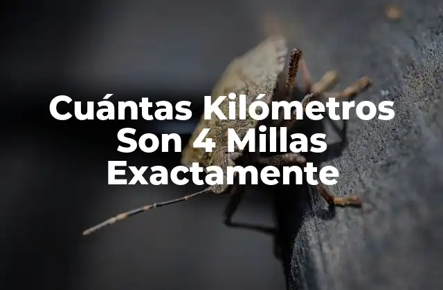 Cuántas Kilómetros Son 4 Millas Exactamente 2 ¿Qué es una Milla?