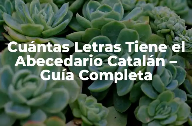 Cuántas Letras Tiene el Abecedario Catalán – Guía Completa