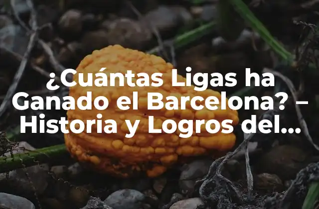 ¿cuántas Ligas Ha Ganado el Barcelona? – Historia y Logros Del Fútbol Club Barcelona