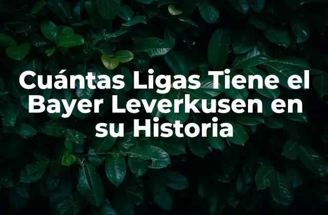 Cuántas Ligas Tiene el Bayer Leverkusen en Su Historia
