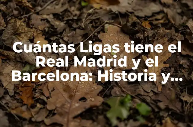 Cuántas Ligas Tiene el Real Madrid y el Barcelona: Historia y Estadísticas