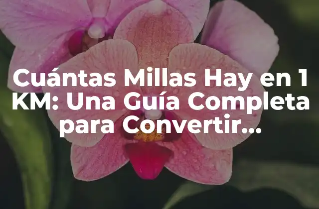 Cuántas Millas Hay en 1 Km: una Guía Completa para Convertir Distancias
