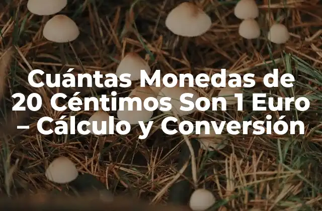 Cuántas Monedas de 20 Céntimos Son 1 Euro – Cálculo y Conversión