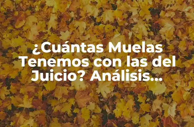 ¿cuántas Muelas Tenemos con las Del Juicio? Análisis Detallado de la Dentición Humana