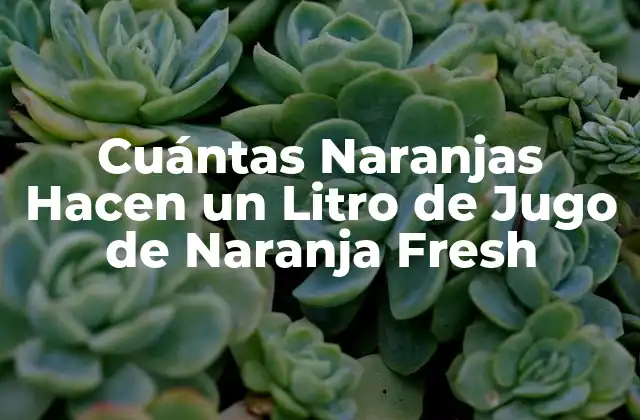 Cuántas Naranjas Hacen un Litro de Jugo de Naranja Fresh 2 Factores que Influyen en la Cantidad de Naranjas Necesarias