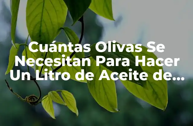 Cuántas Olivas Se Necesitan para Hacer un Litro de Aceite de Oliva