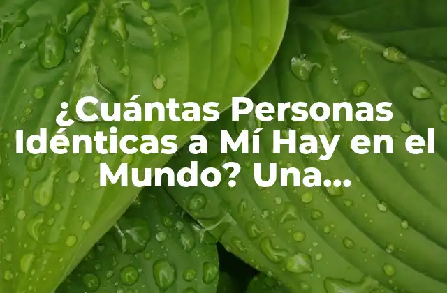 ¿cuántas Personas Idénticas a Mí Hay en el Mundo? una Investigación Sorprendente