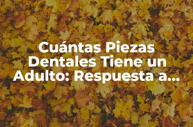 Cuántas Piezas Dentales Tiene un Adulto: Respuesta a una Pregunta Común