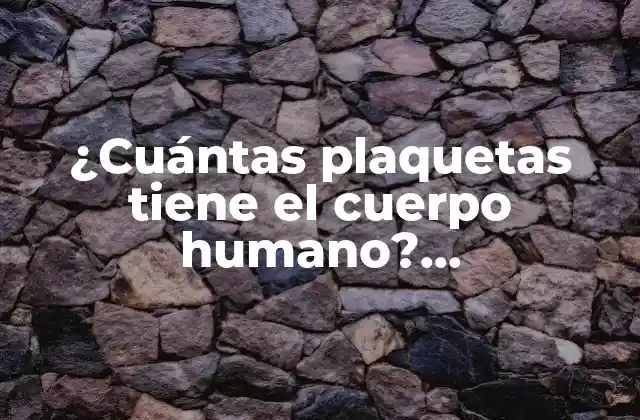 ¿cuántas Plaquetas Tiene el Cuerpo Humano? Aproximación a la Función y Importancia de las Plaquetas