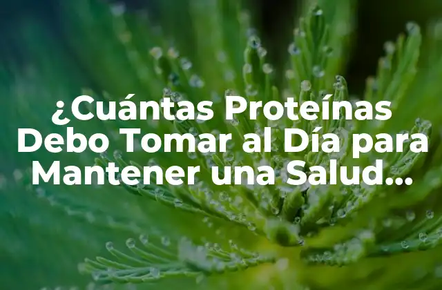 ¿cuántas Proteínas Debo Tomar Al Día para Mantener una Salud Optima?