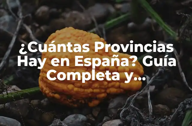¿cuántas Provincias Hay en España? Guía Completa y Actualizada