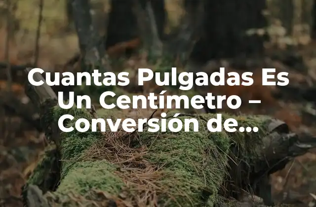 Cuantas Pulgadas es un Centímetro – Conversión de Unidades de Longitud