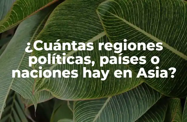 ¿cuántas Regiones Políticas, Países o Naciones Hay en Asia?