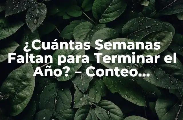 ¿cuántas Semanas Faltan para Terminar el Año? – Conteo Regresivo para el Fin de Año