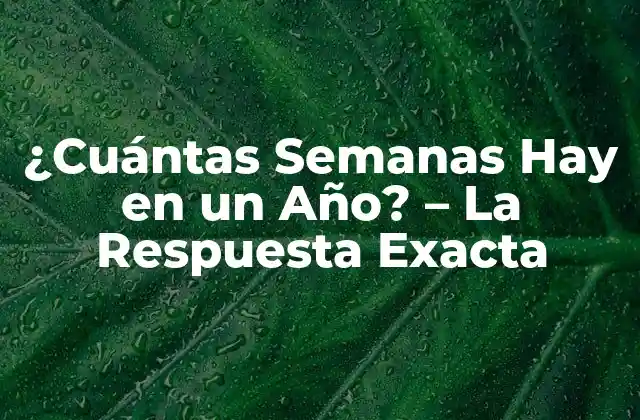 ¿cuántas Semanas Hay en un Año? – la Respuesta Exacta