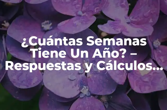 Entendiendo el Calendario