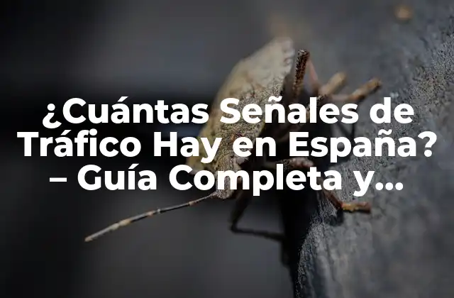 ¿cuántas Señales de Tráfico Hay en España? – Guía Completa y Actualizada