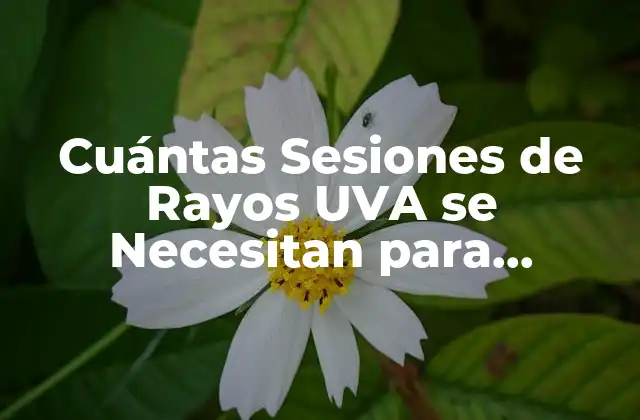Cuántas Sesiones de Rayos Uva Se Necesitan para Obtener Resultados Ideales