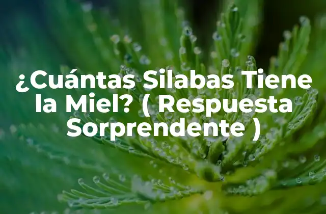 ¿cuántas Silabas Tiene la Miel? ( Respuesta Sorprendente )