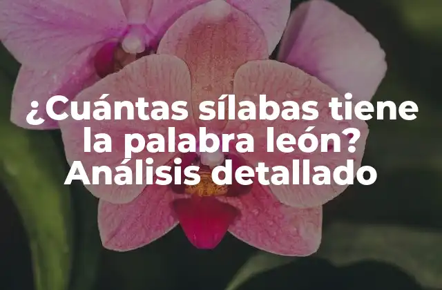 ¿cuántas Sílabas Tiene la Palabra León? Análisis Detallado