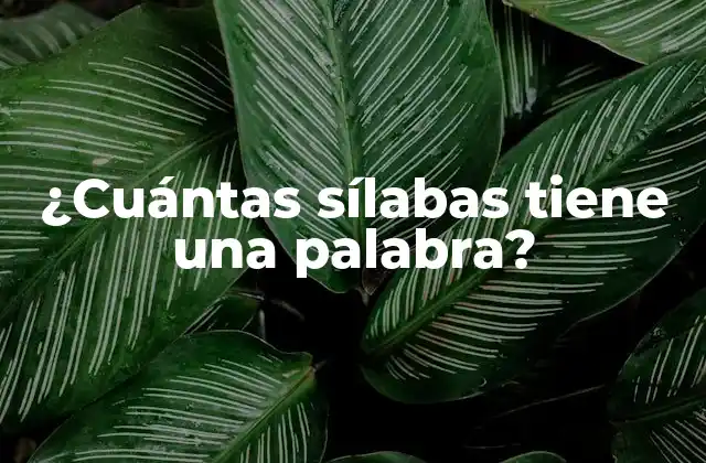 ¿cuántas Sílabas Tiene una Palabra?