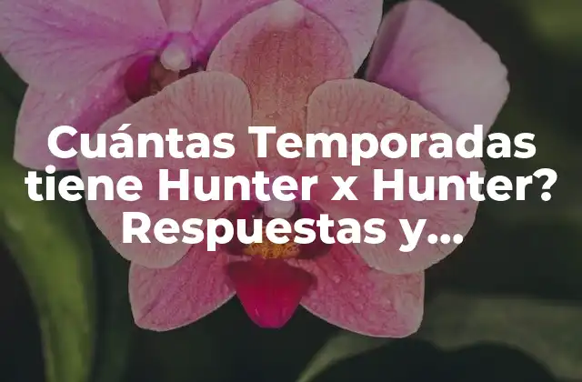 Cuántas Temporadas Tiene Hunter X Hunter? Respuestas y Actualizaciones