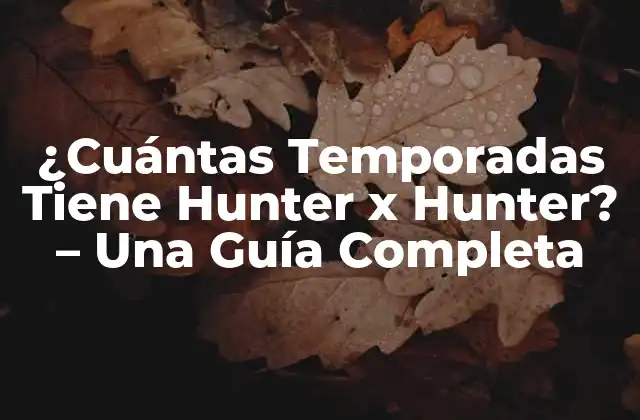 ¿cuántas Temporadas Tiene Hunter X Hunter? – una Guía Completa