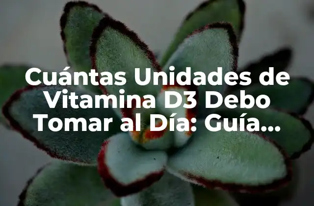 Cuántas Unidades de Vitamina D3 Debo Tomar Al Día: Guía Completa