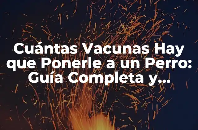 Cuántas Vacunas Hay que Ponerle a un Perro: Guía Completa y Actualizada