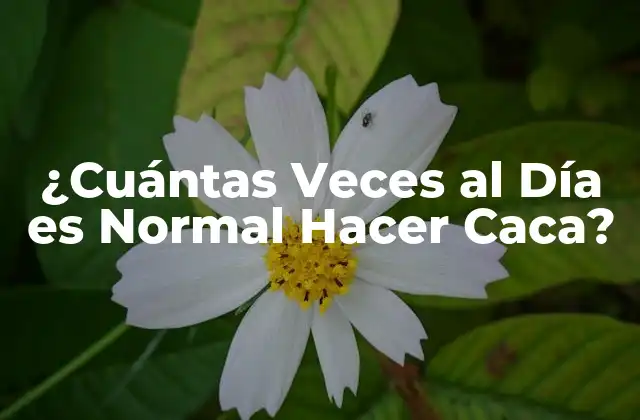 ¿cuántas Veces Al Día es Normal Hacer Caca?