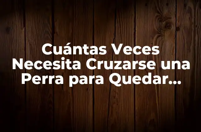 Cuántas Veces Necesita Cruzarse una Perra para Quedar Preñada: Guía Completa