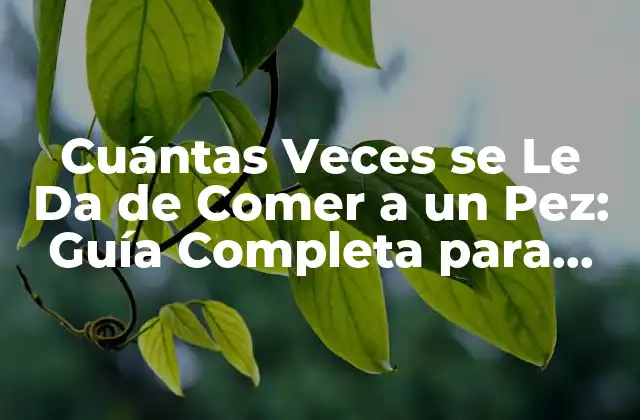 ¿Qué Necesitan los Peces para Sobrevivir?