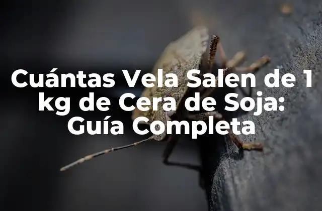 Cuántas Vela Salen de 1 Kg de Cera de Soja: Guía Completa