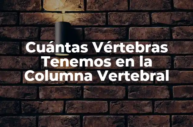 Cuántas Vértebras Tenemos en la Columna Vertebral