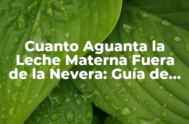 Cuanto Aguanta la Leche Materna Fuera de la Nevera: Guía de Conservación Segura