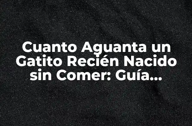 Cuanto Aguanta un Gatito Recién Nacido sin Comer: Guía Completa para Padres de Gatos Preocupados