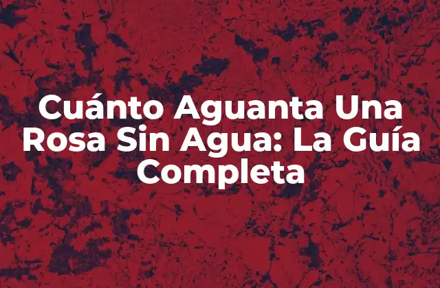 Cuánto Aguanta una Rosa sin Agua: la Guía Completa