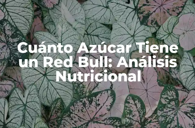 Cuánto Azúcar Tiene un Red Bull: Análisis Nutricional