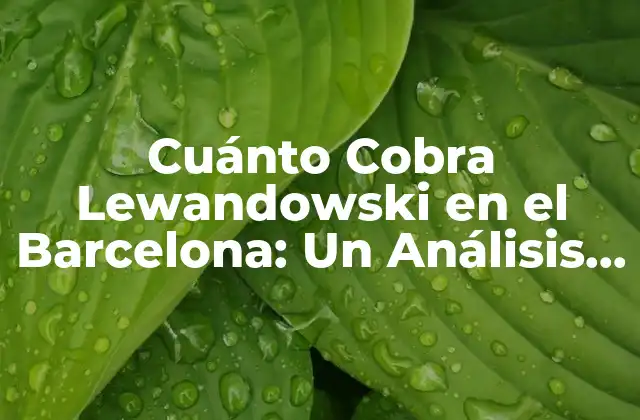 Cuánto Cobra Lewandowski en el Barcelona: un Análisis Detallado