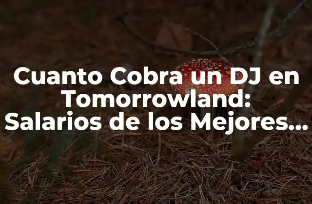 Cuanto Cobra un Dj en Tomorrowland: Salarios de los Mejores Djs Del Mundo
