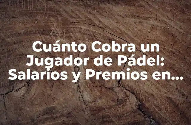 Cuánto Cobra un Jugador de Pádel: Salarios y Premios en el Pádel Profesional