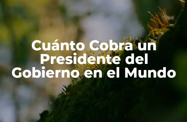 Cuánto Cobra un Presidente Del Gobierno en el Mundo
