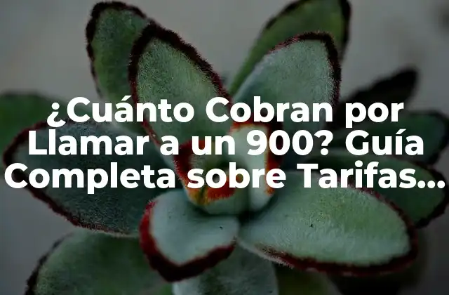 ¿cuánto Cobran por Llamar a un 900? Guía Completa sobre Tarifas y Costos