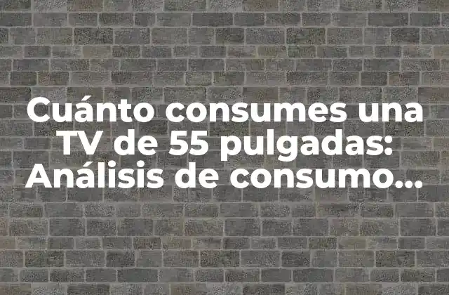 Cuánto Consumes una Tv de 55 Pulgadas: Análisis de Consumo de Energía y Costos