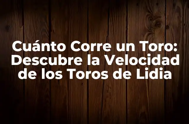 Cuánto Corre un Toro: Descubre la Velocidad de los Toros de Lidia 2 La Velocidad de los Toros de Lidia