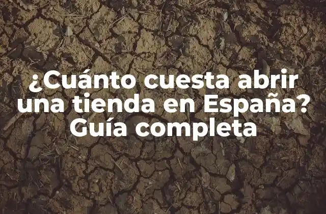 ¿cuánto Cuesta Abrir una Tienda en España? Guía Completa