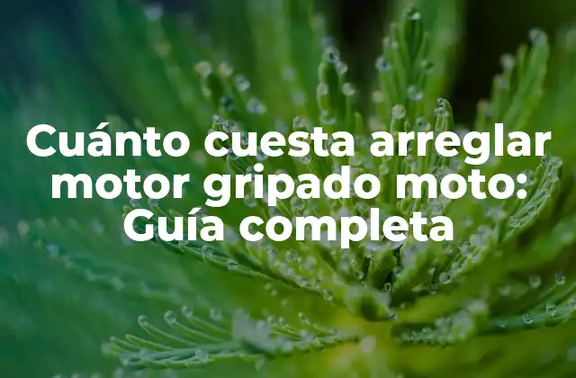 Cuánto Cuesta Arreglar Motor Gripado Moto: Guía Completa