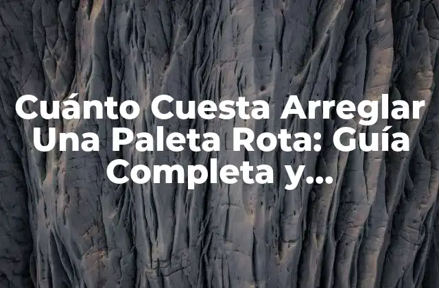 Cuánto Cuesta Arreglar una Paleta Rota: Guía Completa y Actualizada