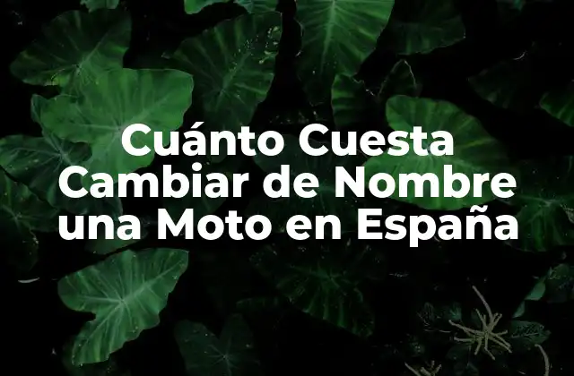 Cuánto Cuesta Cambiar de Nombre una Moto en España